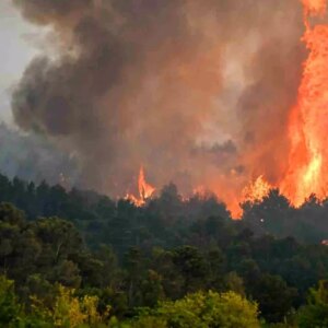 fransada tarihin en buyuk orman yangini 16 bin hektar kule dondu EMKgWD8A