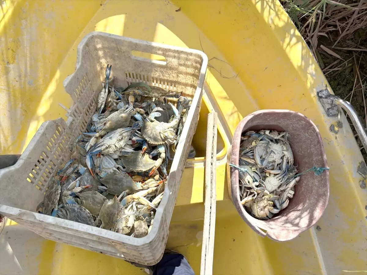 mersinde yasa disi yengec avcilari yakalandi 38ESTikY.jpg