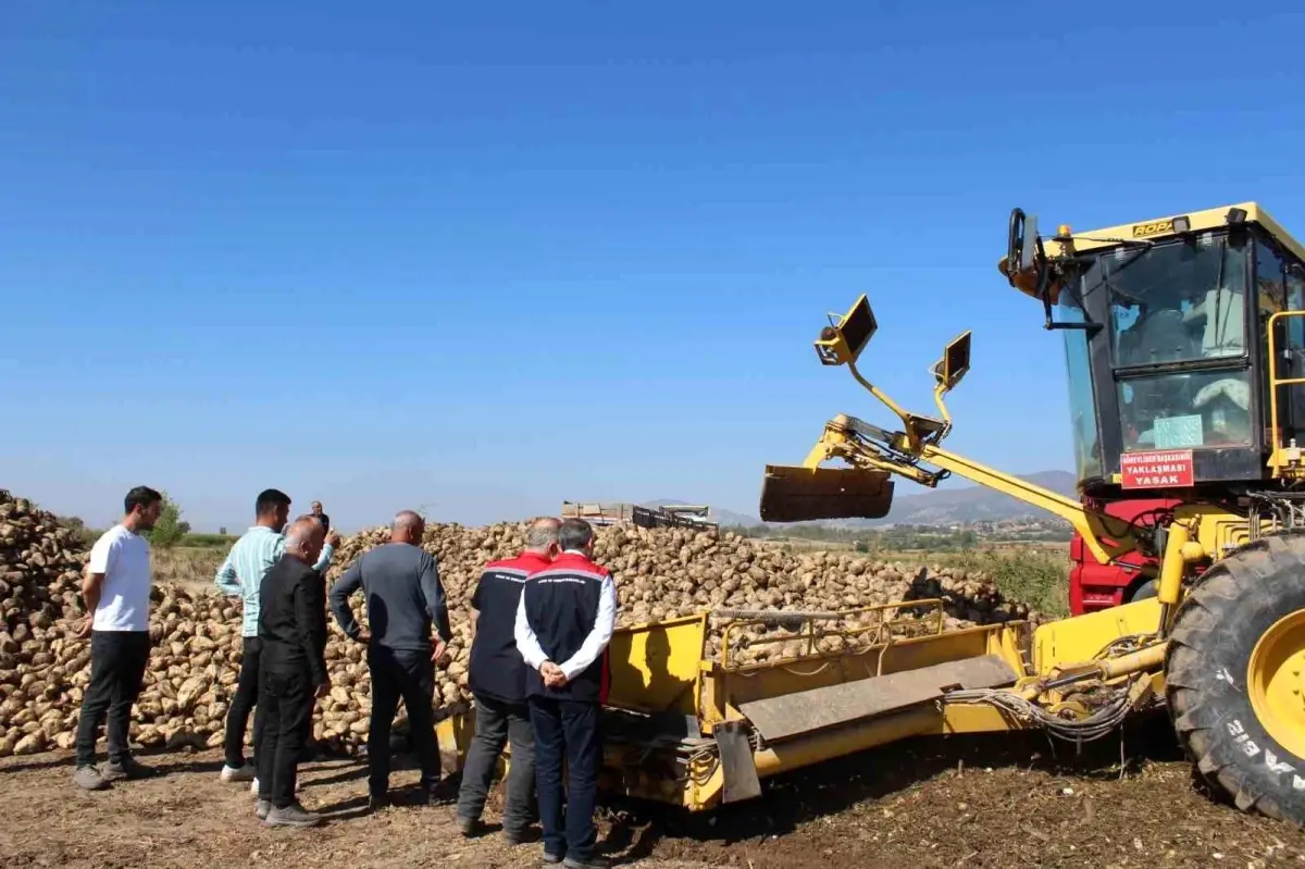 tokatta rekor seker pancari hasadi bekleniyor gansAxnX