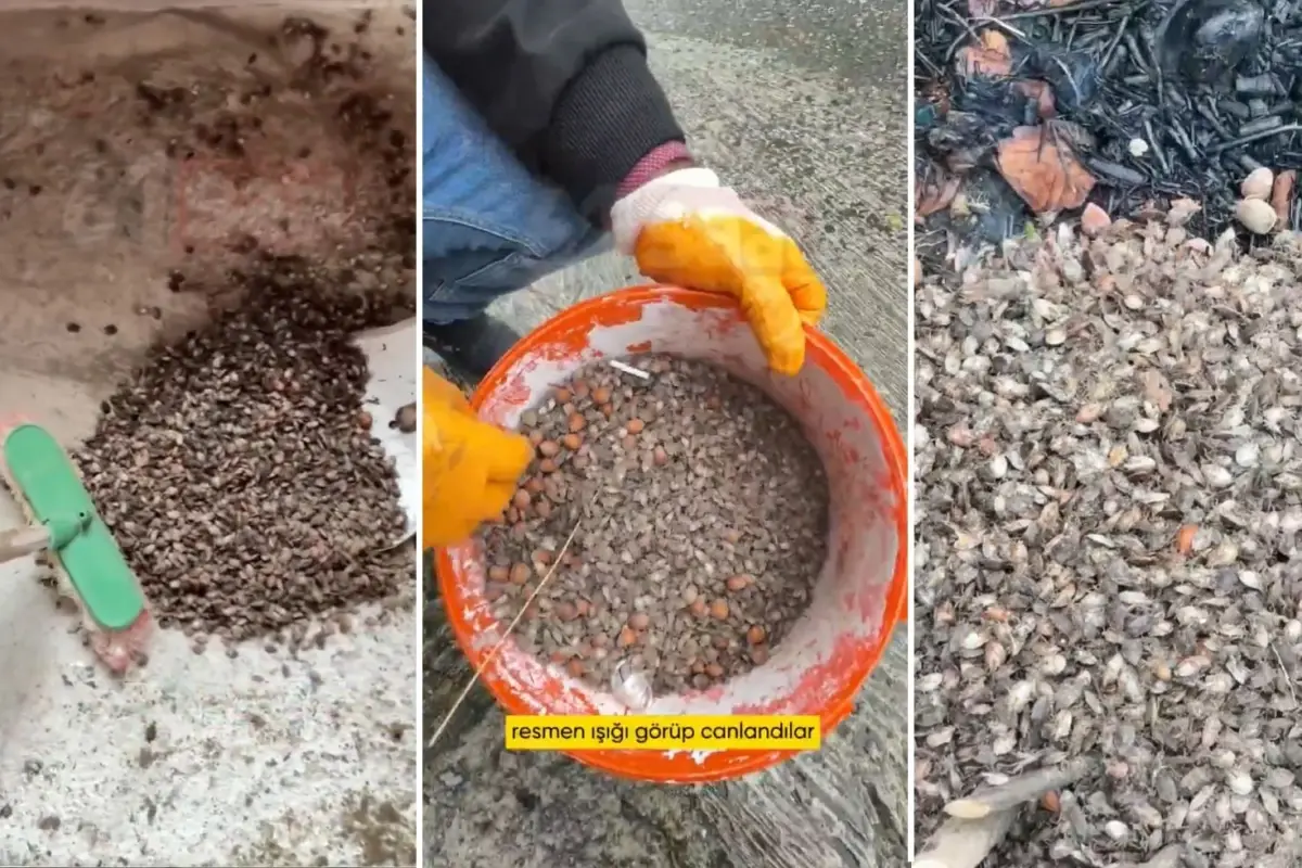 turkiyenin oteki gundemi son virajdayiz diyen vatandastan endiselendiren sozler LgGKrlPU.jpg