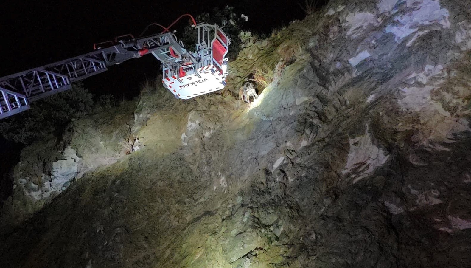 ucurumun ortasinda mahsur kalan kopege itfaiye yetisti KVJsEvAJ.jpg