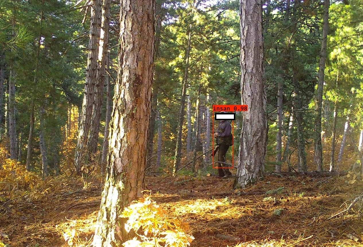 yapay zeka destekli fotokapanlar ormanlarimizi koruyor 84ZwgeOz