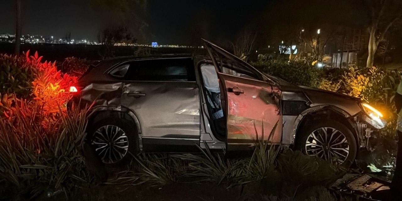 Fatih’te Korkutan Kaza: Ağaçları Sökerek Çalılıklara Yuvarlandı