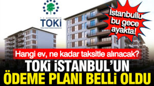toki-istanbulda-geri-sayim-basladi-hangi-eve-ne-kadar-odenecek-kura-cekimi-yarin-3eaYy1eX